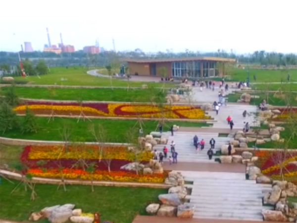 洺湖廣場(chǎng)綠化